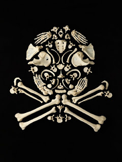 dwijayasblog.blogspot.com-Francois-Robert-Bones-stop-violence dwijayasblog.blogspot.com-Francois-Robert-Bones-stop-violence