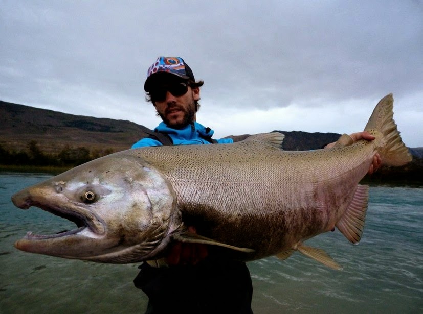 Big Fishes of the World: SALMON CHINOOK page 2
