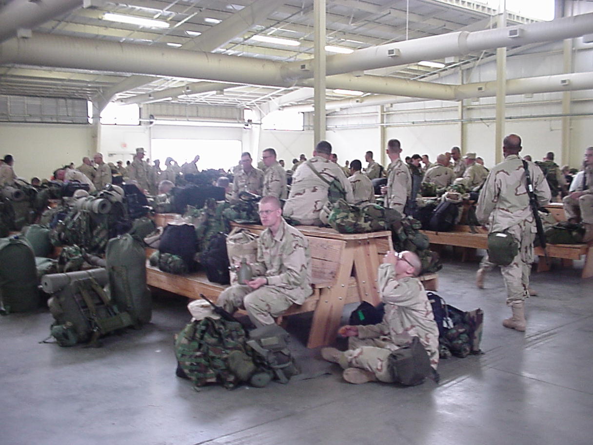 The Lion speaks 2013