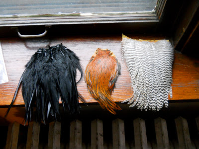 Fly tying hackle