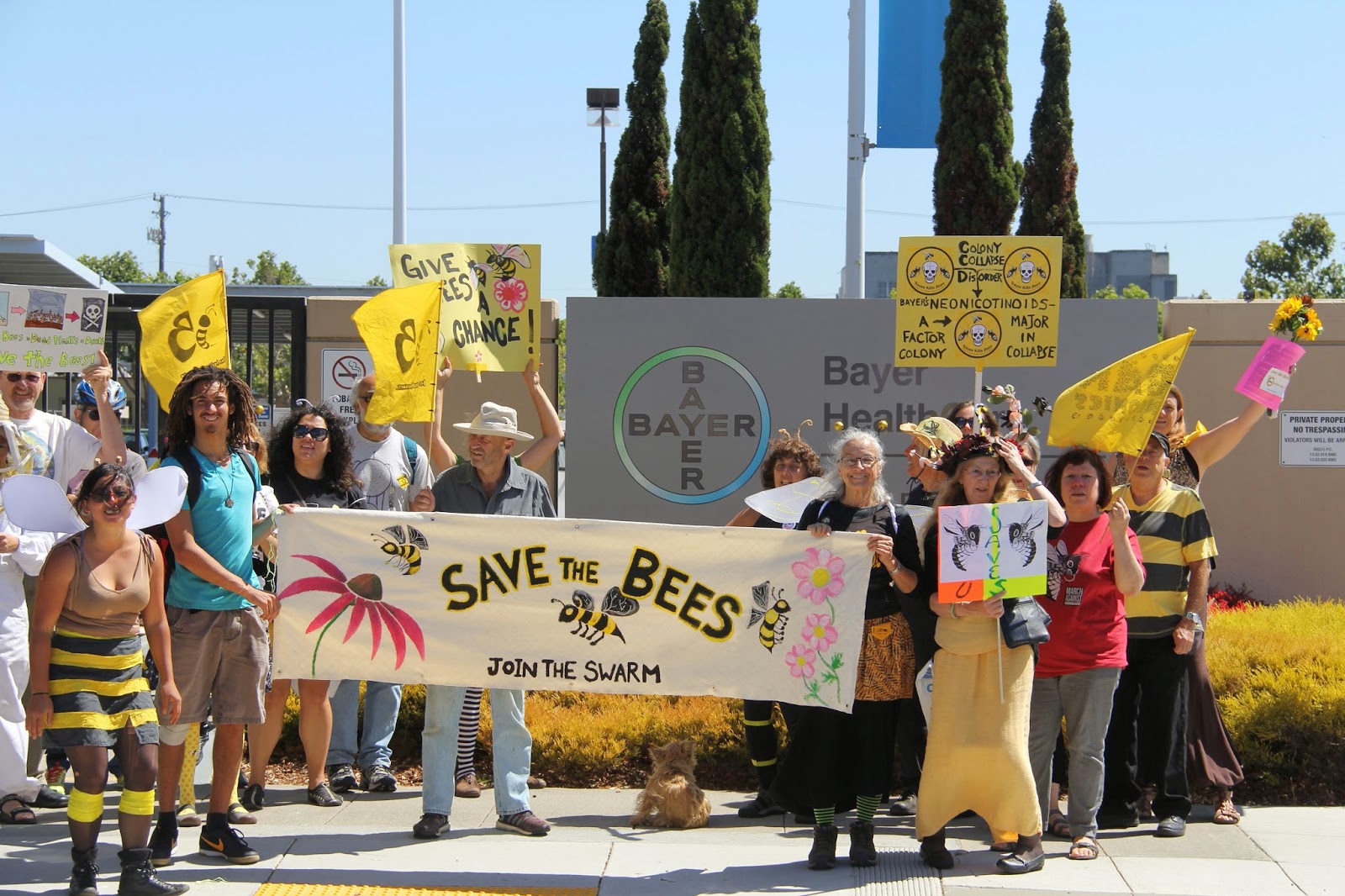 Bee Swarm East Bay Honey Bee Awareness Day At Berkeley Farmers Market