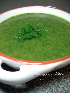 Irish nettle soup