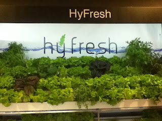 Os produtos super frescos da Hy Fresh