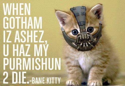 bane-kitty-dark-knight-rises.jpg