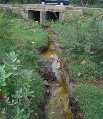 water pollution images - Water Contaminated  Pollution Ranipet, India