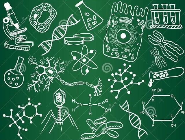 Ciencia Matemáticas, escuelas
