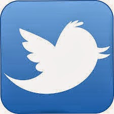 twitter big logo icone 5336 48