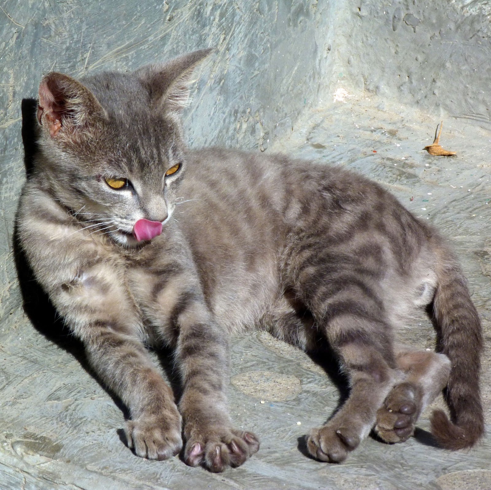 Nepal 2012; trekking in Solo Khumbu