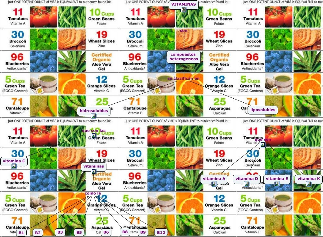 Funciones Biológicas de las Vitaminas ~ Energía y consumo Funciones Biológicas de las Vitaminas ~ Energía y consumo