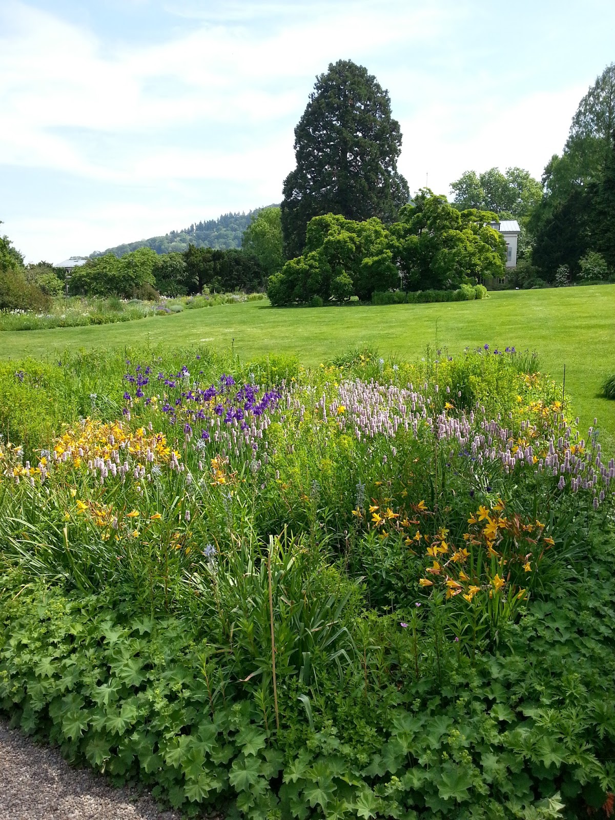 GartenWelten Ein Reisetagebuch Schau und Sichtungsgarten