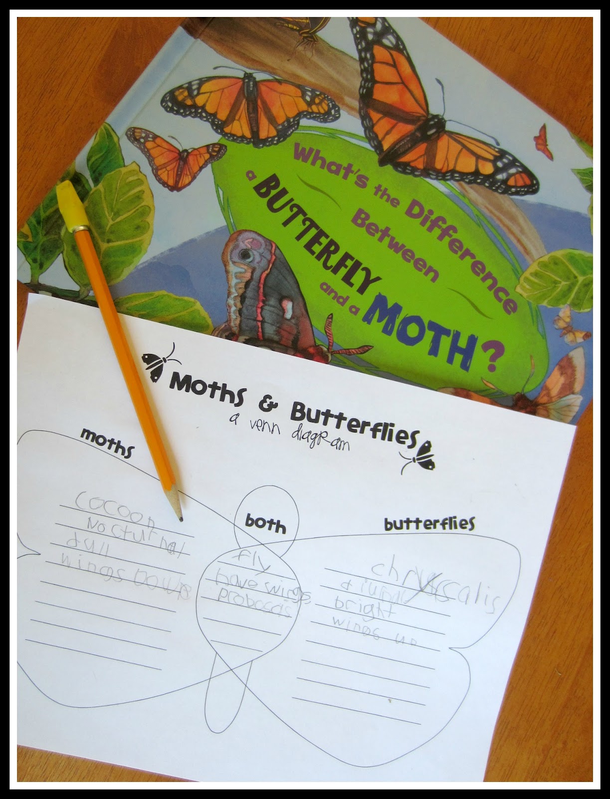 relentlessly fun deceptively educational moths and butterflies butterfly and moth venn diagram