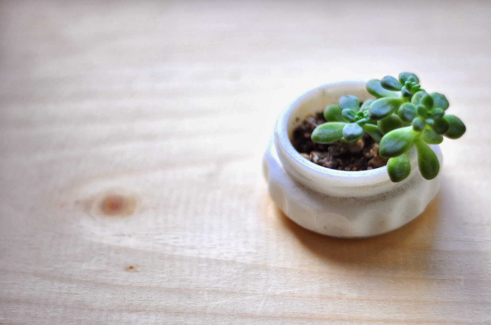 l'elan jolie simple crafts diy pickle jar terrarium