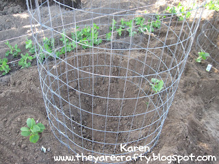 They Are Crafty: Garden Cages