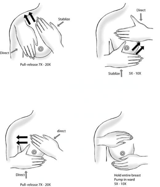 Gambar Cara Memperbesar Payudara Secara Alami Dengan Tangan Brad Erva Cara Memperbesar Payudara Secara Alami Dengan Tangan Brad Erva