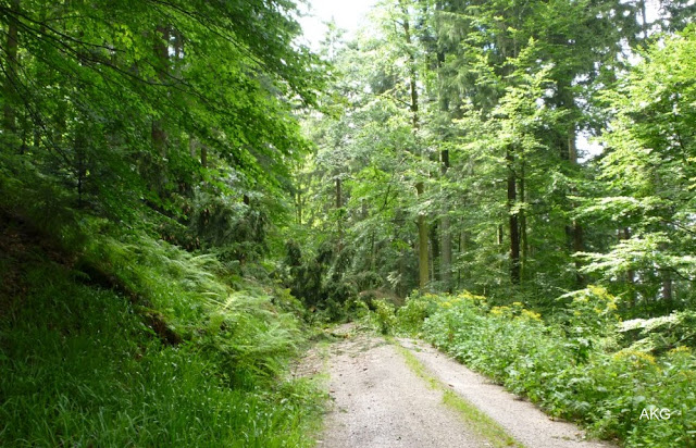 Weg versperrt