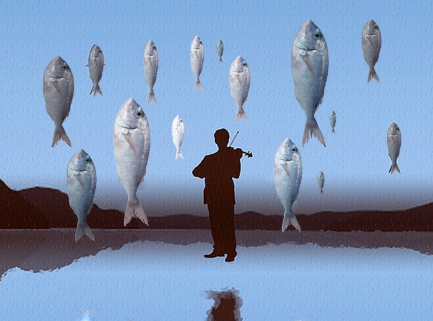 Peer issues FISH FALLING FROM THE SKY