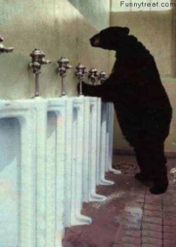 funny animals with captions funny funny. funny animals with captions