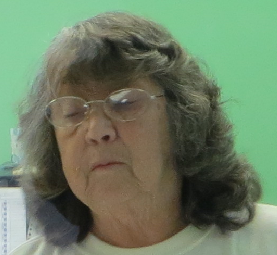 BLV clerk-mayor Ethel Nemeth in charge of BLV money.