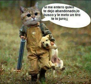 Imagenes de chistes cortos Imagenes de chistes cortos