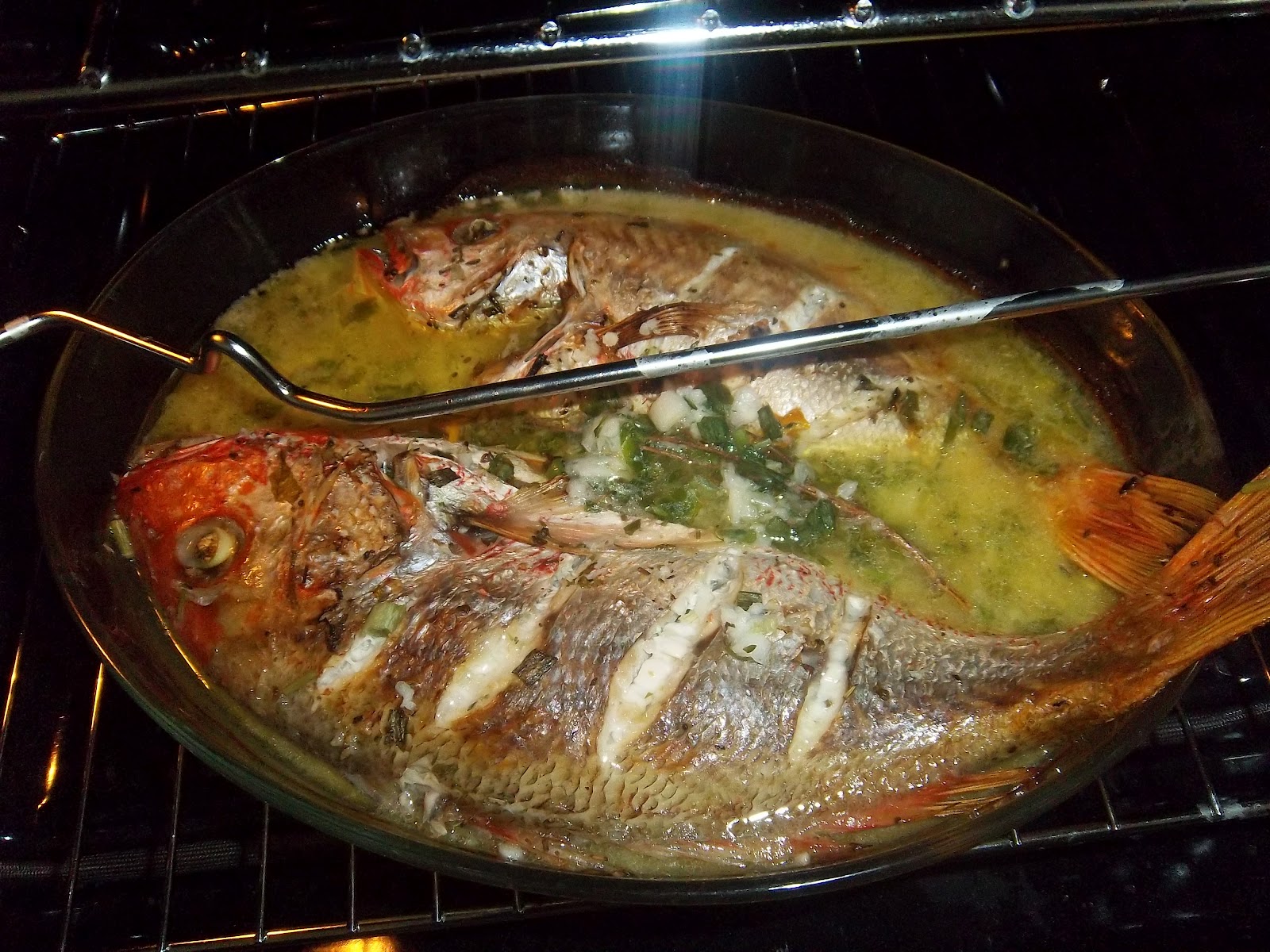 Biographie de la petite idiote Repas végétarien du jour Millet et Poisson