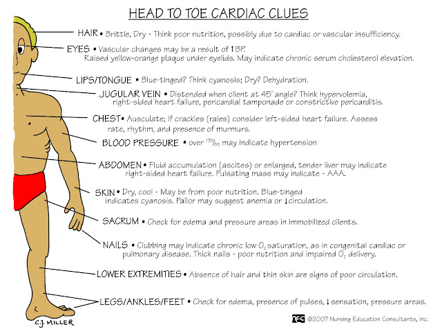 head to toe assessment cheat sheet nursing head to toe assessment cheat sheet