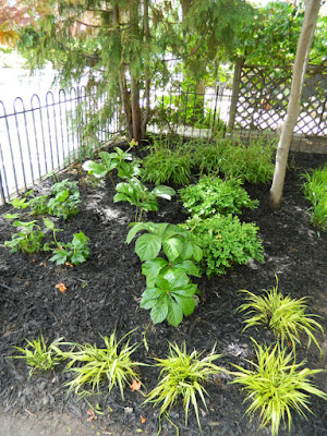 Summerhill front garden makeover after by Paul Jung Gardening Services Toronto
