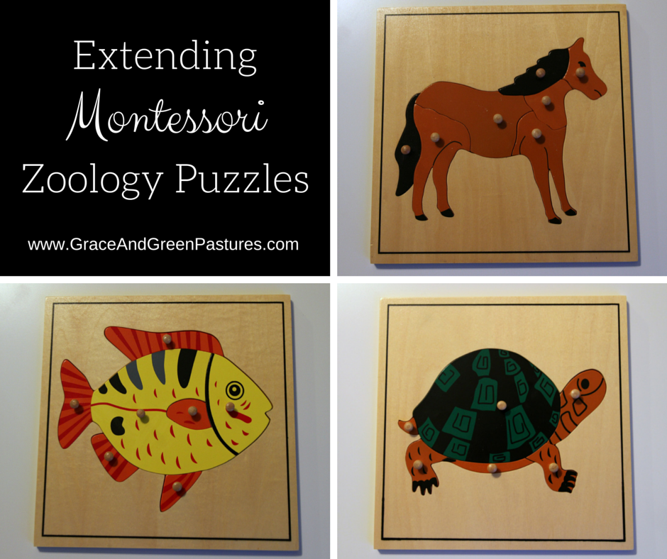 Grace and Green Pastures Extending Zoology Puzzles