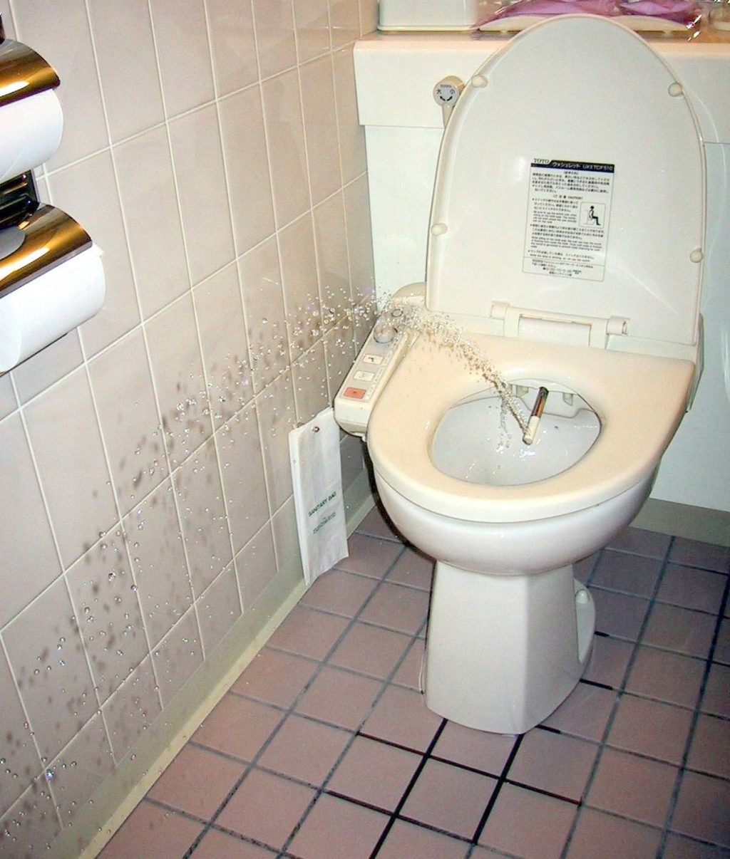 http://4.bp.blogspot.com/-vRDnWOa3nug/ThqN-ZO2IcI/AAAAAAAAAT8/s--N6KzYDcU/s1600/Bidet2.jpg