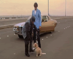 1312806anchorman.gif