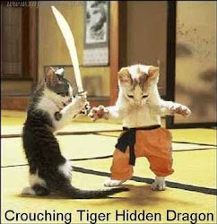 This is what i call Cat Fight!