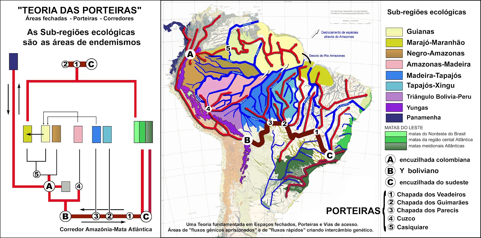 THE THEORY OF THE GATES