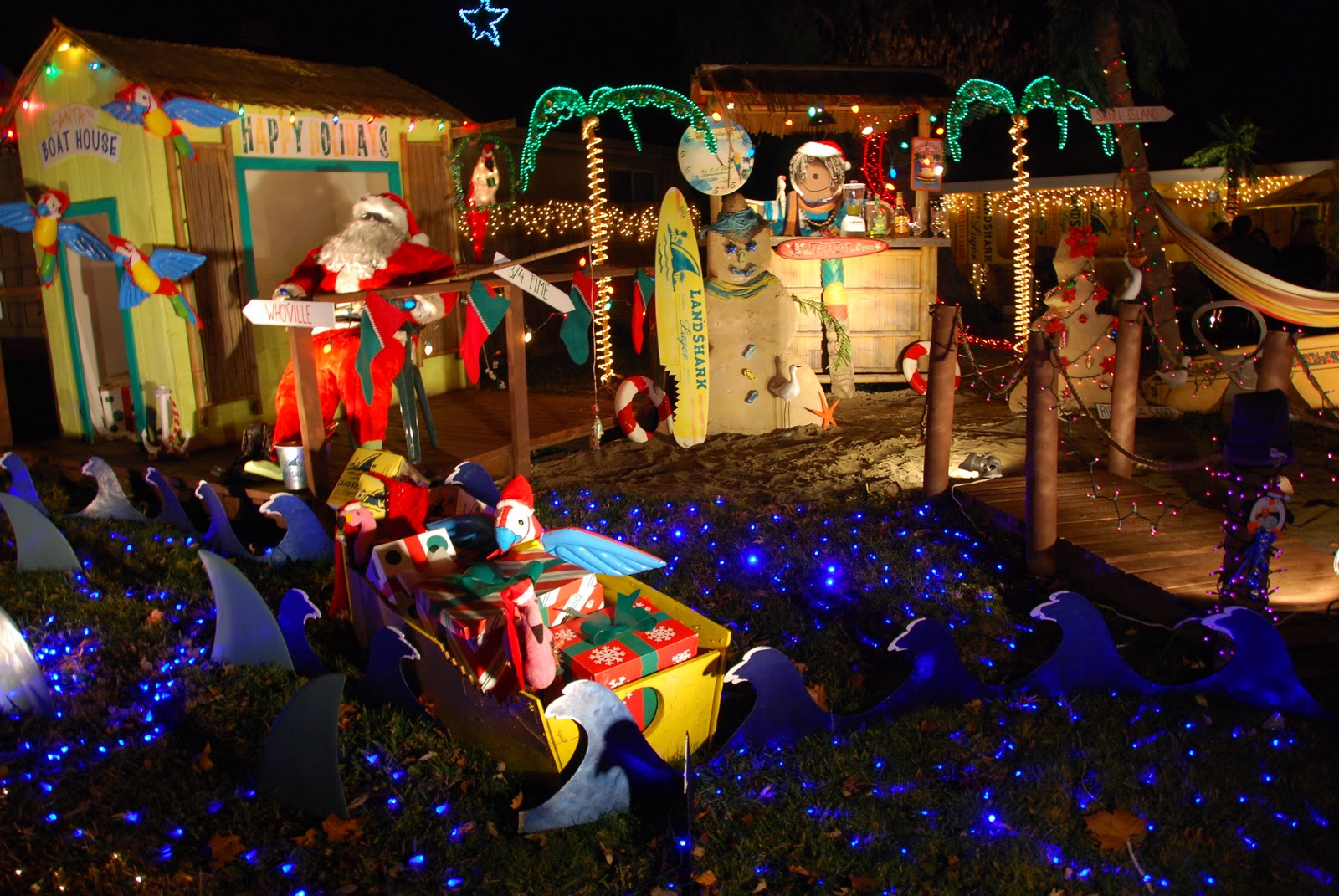 All Things Elise &amp; Alina: Dovewood Court Holiday Lights 2011