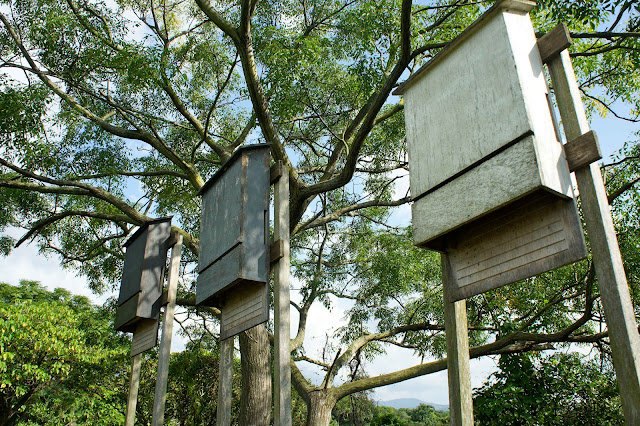 WWF Mai Po Hong Kong Nature Reserve