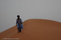 Sahara 2011