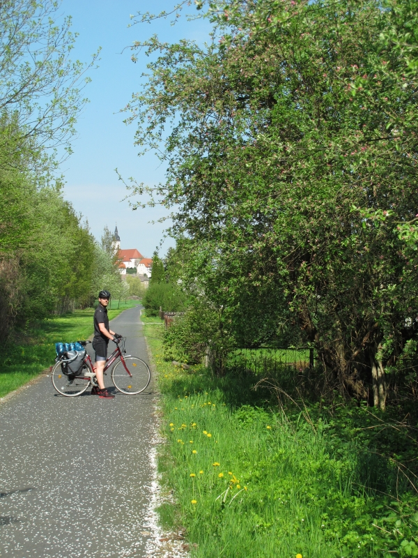 torgau wetter 7 tage torgau wetter 7 tage