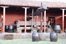 EXPOSICIÓN EN LA  CASA DEL VINO DE TENERIFE