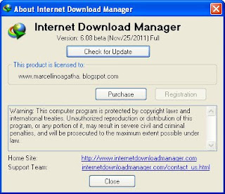 Download IDM 6.08 Full, Serial, Key, Patch 2012, idm 6.08, internet download manager 6.08