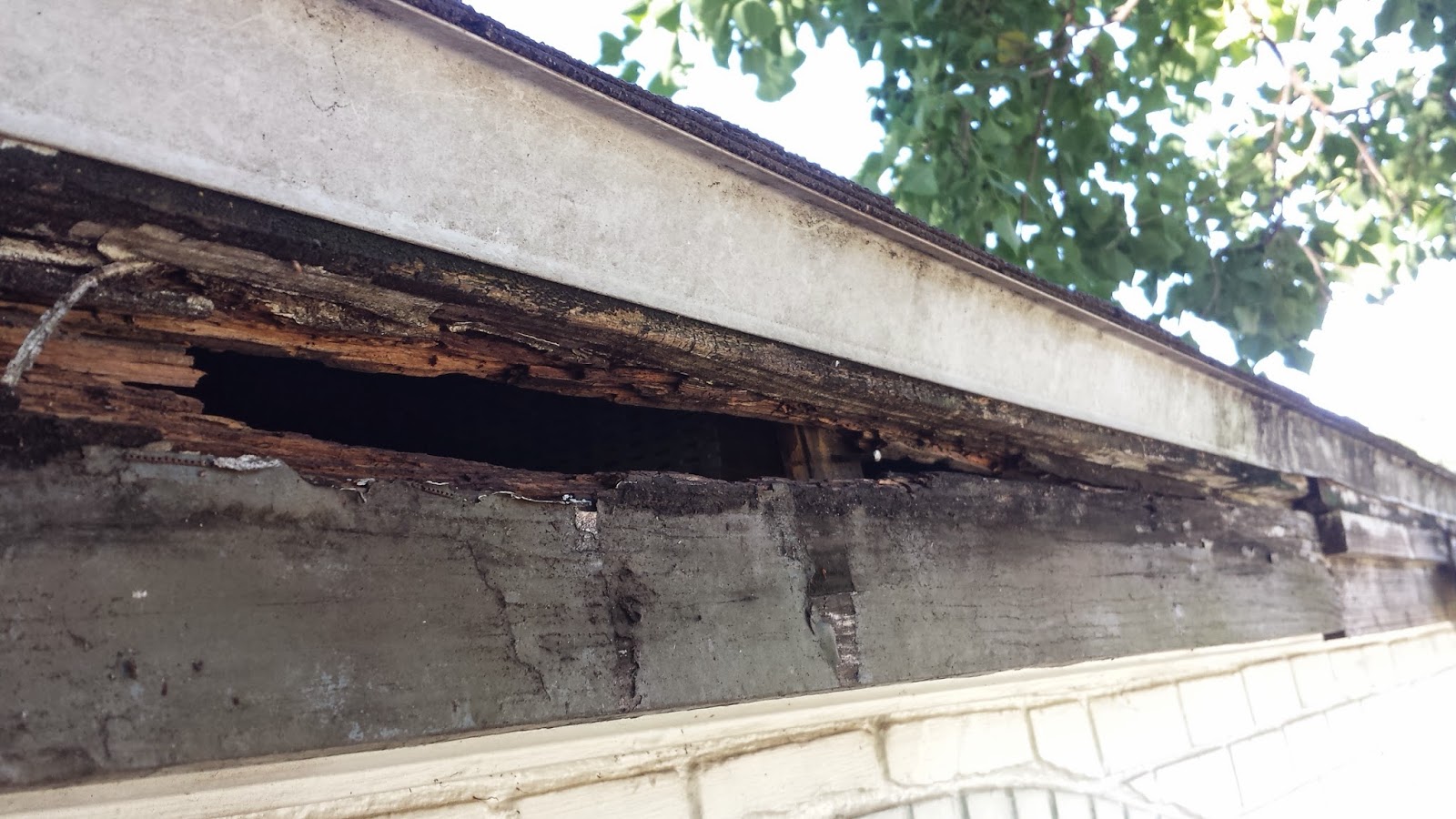 I'm No Pro Adventures in DIY Replacing Existing Fascia Board