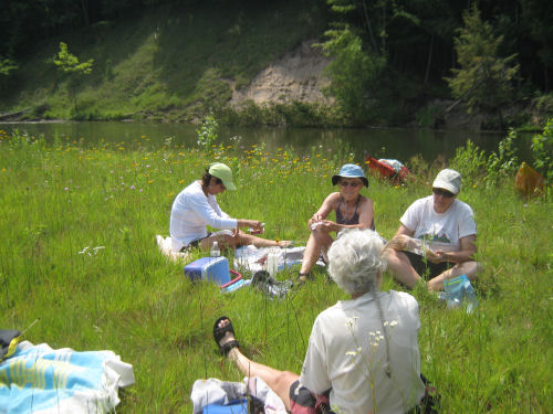 lunch in the grass
