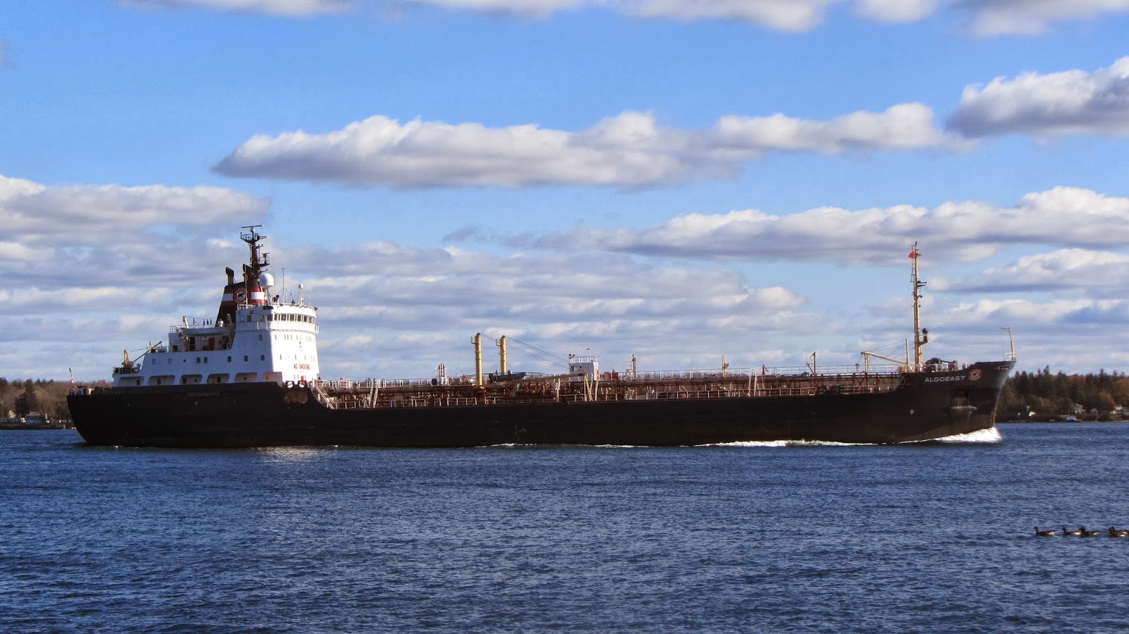 Carlz Boats Oil Tanker ALGOEAST