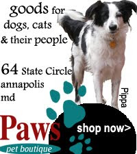 Paws Pet Boutique