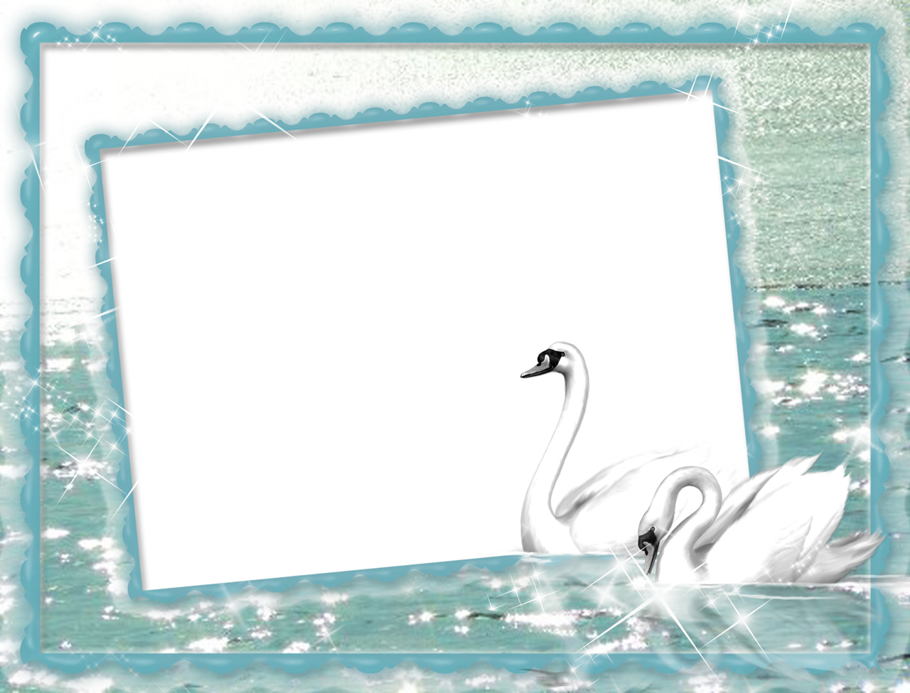 swans frames