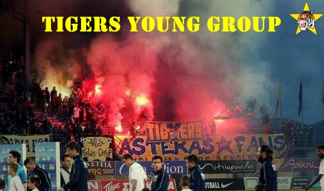 TIGERS YOUNG GROUP