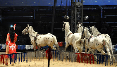 circus carson barnes horse liberty