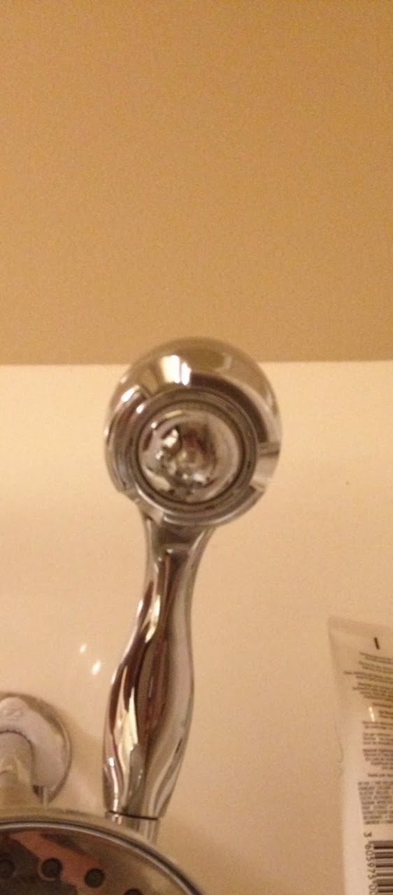 Always Blabbing Chrome Niagara 1.5 Gallon Per Minute Earth Massage