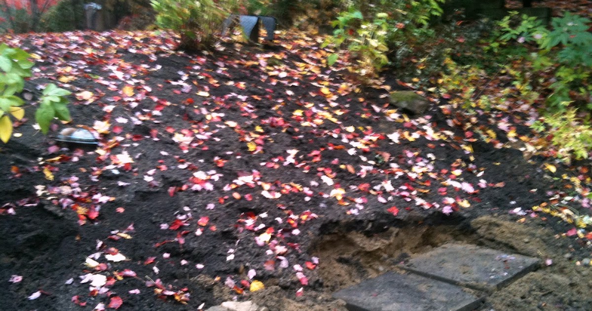 An Anglo in Québec Fire Pit 101