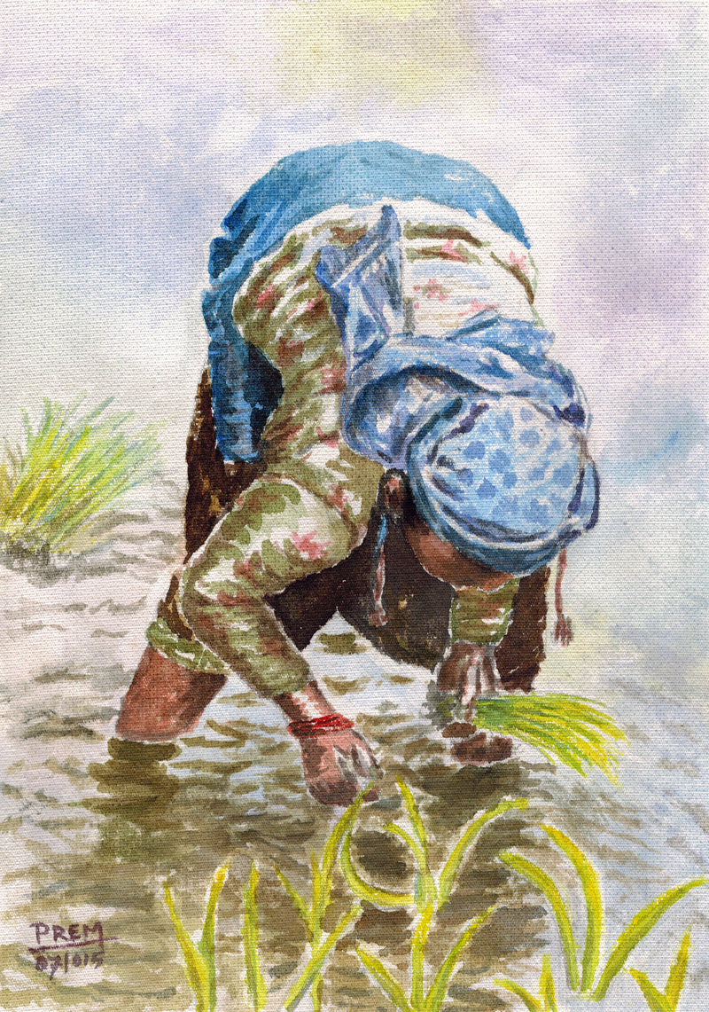 essay on paddy plantation essay on paddy plantation