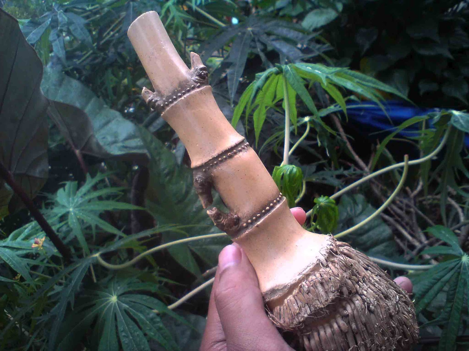 Bambu Petuk