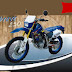 Çelik Brave 250 Motosiklet
