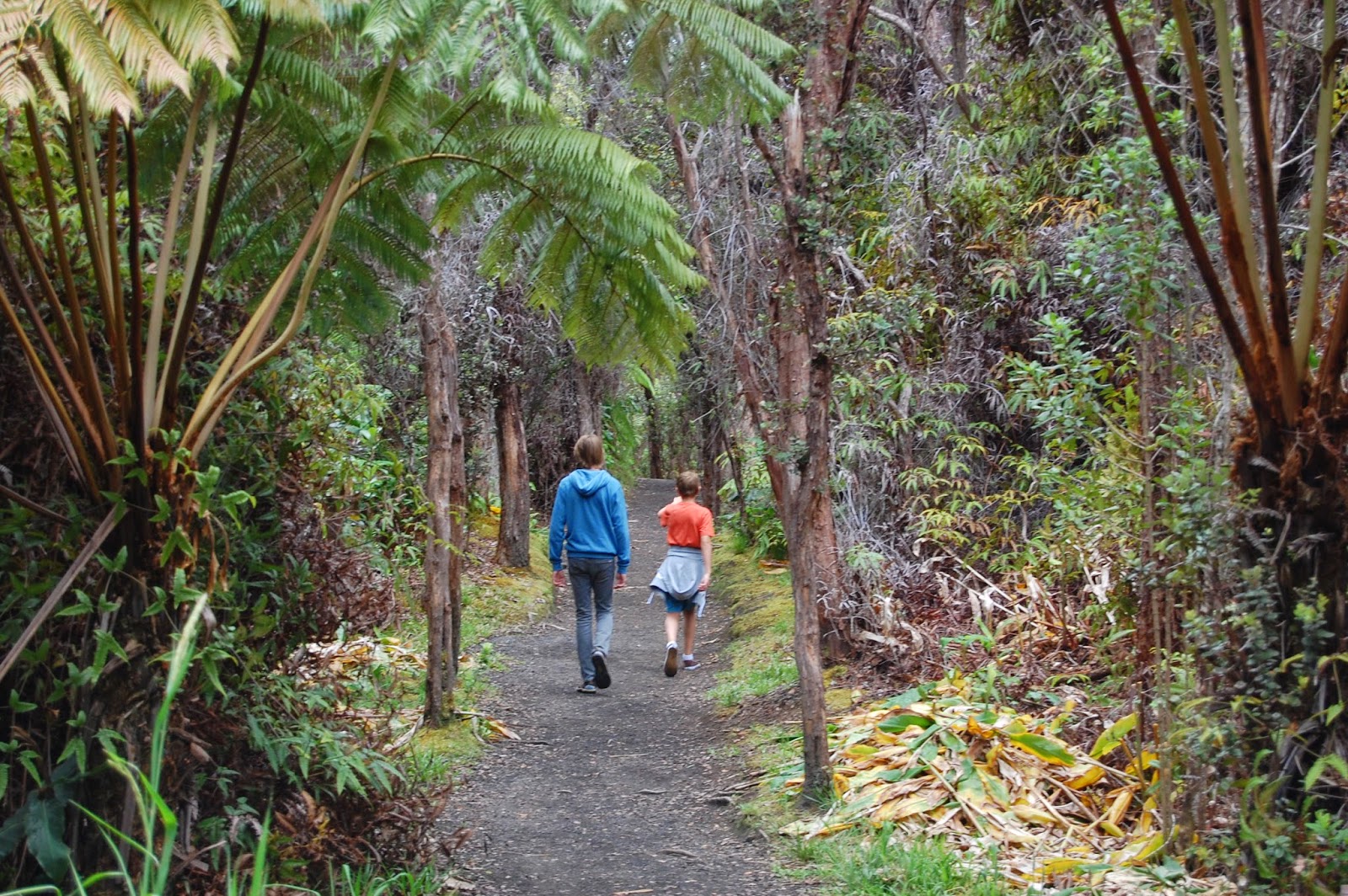 I Heart Hawaiian Gardens Northern California Style